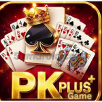 PKPLUS Game